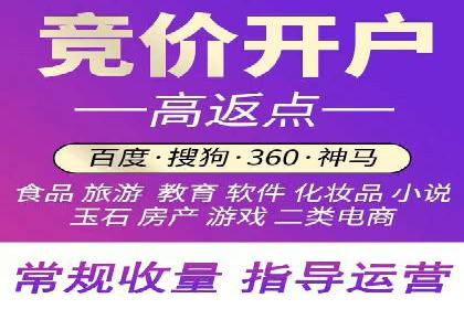 竞价广告的深度解析：以一知名品牌为例
